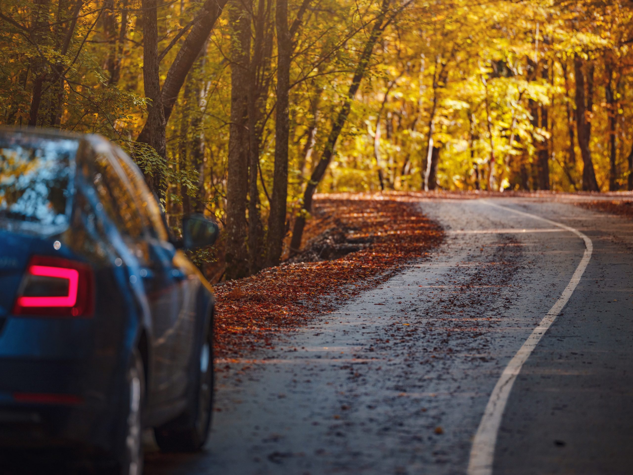 Vehicle Charging System Inspection